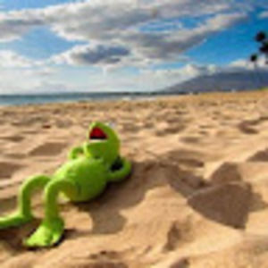 Meet your Posher, Paul